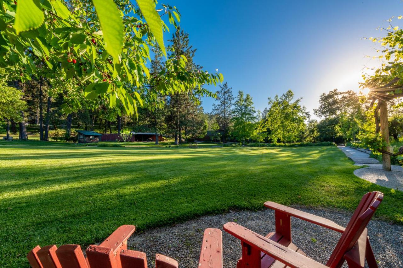 The Davies Family Inn - Adults Only Placerville Exterior foto