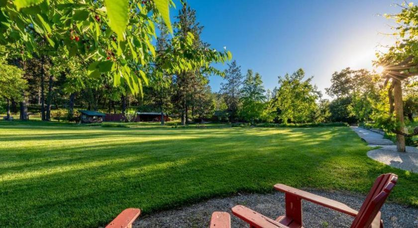 The Davies Family Inn - Adults Only Placerville Exterior foto